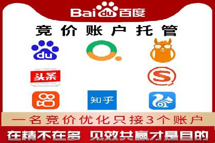 竞价广告赚钱秘籍：百度实战案例